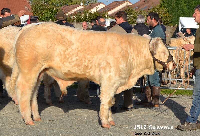 1512 SOUVERAIN